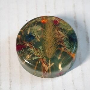 Vtg Lucite Resin Paperweight with Dried Flowers Botanical Decor‎ Desk Accessory